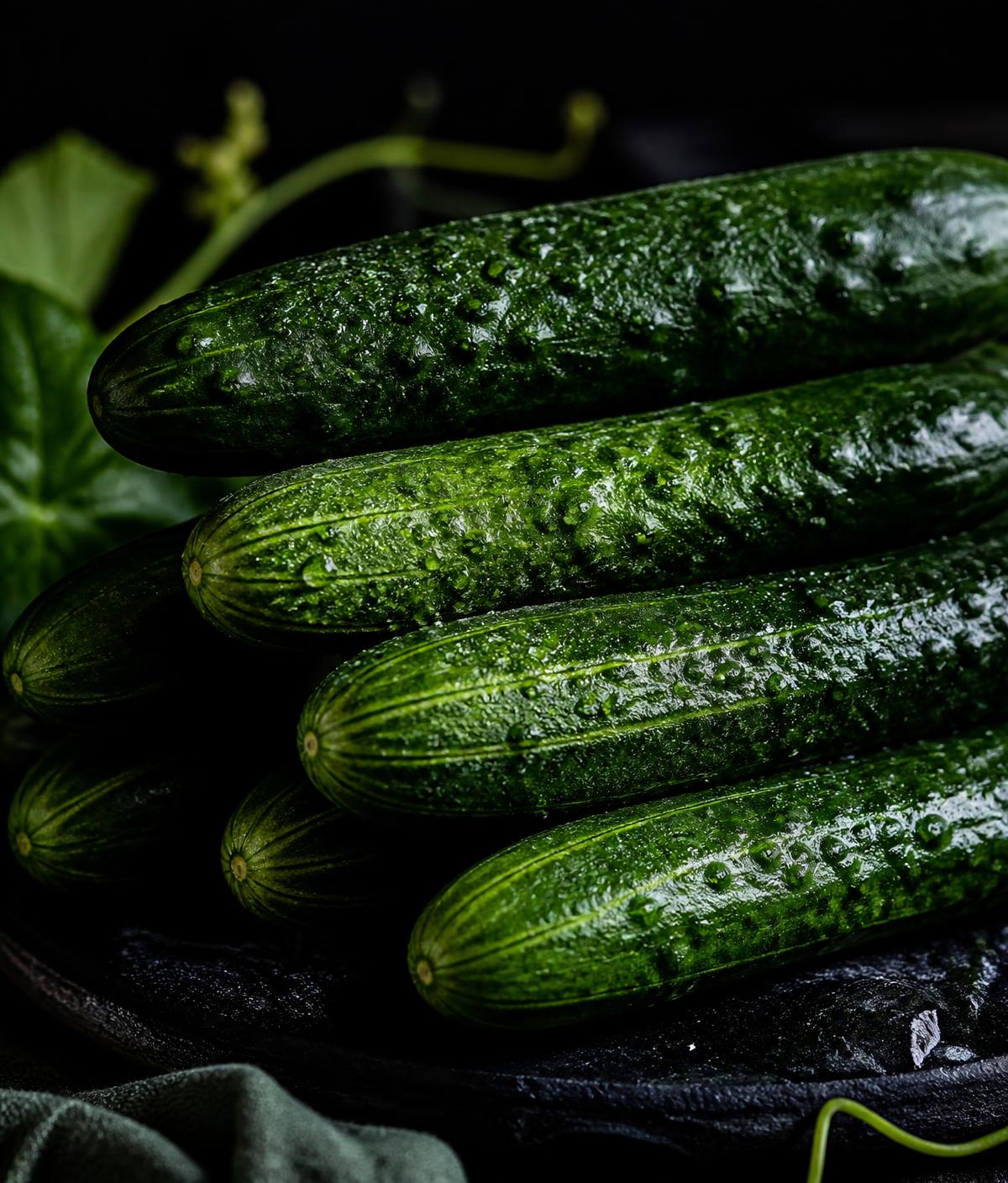 Pepino seleccionado para mercado comercial